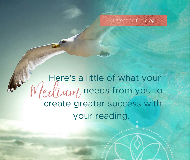 Here’s a little of what your Medium needs from you to create greater success with your reading